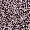 MIYUKI Delica Beads SEED-JP0008-DB2321-3