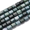 Natural Moss Agate Beads Strands G-R015-A01-2