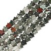 Natural Bloodstone Beads Strands G-H087-C05-01-1