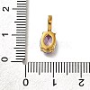 Ion Plating(IP) 304 Stainless Steel Rhinestone Pendants STAS-A104-11G-04-3