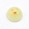 Resin Cabochons RESI-S320-12mm-22-1