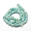 Natural Amazonite Chip Beads Strands X-G-E271-107-2