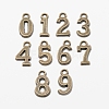Tibetan Style Alloy Pendants TIBEP-TAC0001-14AB-1