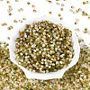 Drawbench Style Glass Seed Beads SEED-Q039-01J-2