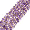 Natural Amethyst Beads Strands G-P463-40-1
