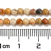 Natural Crazy Lace Agate Beads Strands G-A129-3mm-17-3