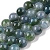 Dyed Natural White Jade Beads Strands G-T138-8mm-2104-4