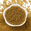 Glass Seed Beads SEED-L011-01B-02-2