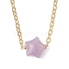 Natural Lepidolite & Larvikite & Lapis Lazuli & Rose Quartz & Tiger Eye Star Pendant 304 Stainless Steel Cable Chain Necklaces NJEW-JN05721-3