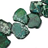 Natural Imperial Jasper Beads Strands G-E444-12A-01-1