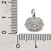 304 Stainless Steel Charms SA-CBA4CE0-01P-G-3