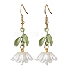 Acrylic Dangle Earrings EJEW-JE06145-1
