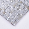 Glitter Hotfix Resin Rhinestone RB-T012-06-4