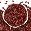 Baking Paint Glass Seed Beads SEED-L011-09A-24-2
