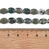 Natural Moss Agate Beads Strands G-H349-A01-22-5