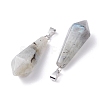 Natural Labradorite Pointed Pendants G-I314-02P-02-3