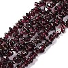 Natural Garnet Beads Strands F065-01A-1