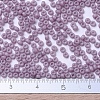 MIYUKI Round Rocailles Beads X-SEED-G007-RR2037-4