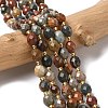 Natural Alashan Agate Beads Strands G-F809-A24-01-1