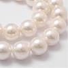 Shell Pearl Bead Strands BSHE-L026-03-14mm-3