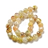 Faceted Natural Fire Crackle Agate Beads Strands G-F447-12mm-H01-3