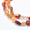 Natural Carnelian Beads Strands G-G765-52-3
