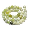 Natural New Jade Beads Strands G-K340-A01-01-3