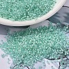 MIYUKI Delica Beads SEED-X0054-DB1707-1