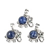 Natural Sodalite Pendants G-I374-A-P10-1