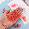 Autumn Theme Transparent Acrylic Beads TACR-S154-60B-910-5