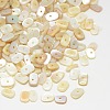 Dyed Natural Freshwater Shell Chips Beads SHEL-A003-D02-1