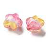 Gradient Color Transparent Hand-drawed Acrylic Beads TACR-P012-01B-07-2