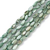 Natural Freshwater Shell Dyed Beads Strands X-SHEL-M018-13-11-1