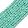 Opaque Glass Beads Strands GLAA-Z018-D21-1
