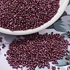 MIYUKI Delica Beads SEED-X0054-DB2308-1