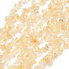 Natural Citrine Beads Strands G-P332-51-2