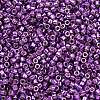 MIYUKI Delica Beads LS-X-SEED-J020-DB2508-2