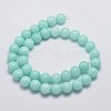 Natural Malaysia Jade Beads Strands G-A146-10mm-B07-2
