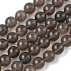 Natural Ice Obsidian Beads Strands G-P590-A03-8mm-01-2