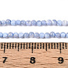 Dyed Natural Trochid Shell/Trochus Shell Beads Strands SSHEL-T017-13M-5