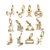 304 Stainless Steel Charms STAS-Z143-06G-1