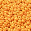 Baking Paint Glass Seed Beads X1-SEED-B001-02A-17-3