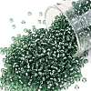 TOHO 11/0 Round Beads SEED-XTR11-2202-1