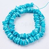 Natural Sea Shell Beads Strands BSHE-K012-08C-3