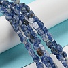 Natural Blue Spot Jasper Beads Strands G-M420-H06-03-2