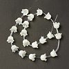 Natural Trochid Shell/Trochus Shell Bead Caps BSHE-B005-03-2