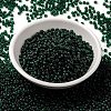 MIYUKI Round Rocailles Beads SEED-X0055-RR0156F-2