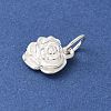 S925 Sterling Silver Pendant STER-H115-08C-S-2