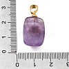 Natural Amethyst Pendants G-T151-02A-3