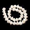 Natural Shell Bead Strands BSHE-O016-04-01-3